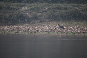 Ghumtee Riviera Resort Bharatpur Chitwan — photo