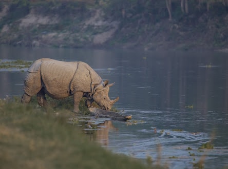 Ghumtee Riviera Resort Bharatpur Chitwan — photo