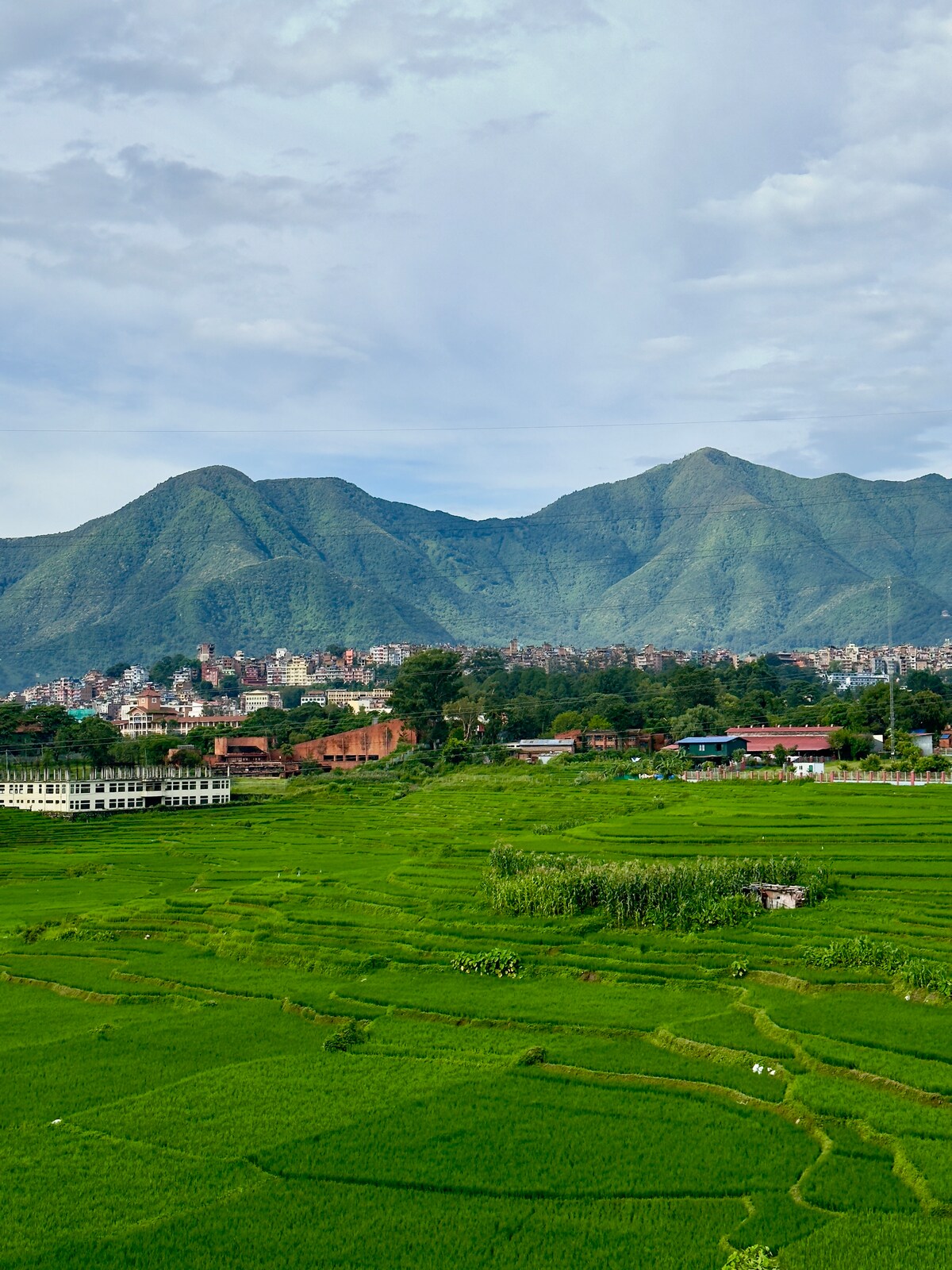 Master bedroom — photo