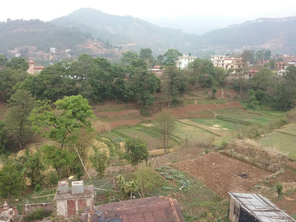 Friendly Place at  heart of foothills in Godavari — photo