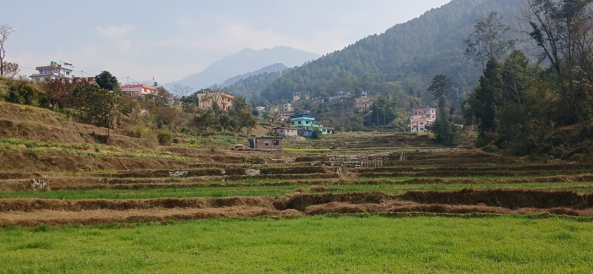 The right place for Nature lovers. — photo