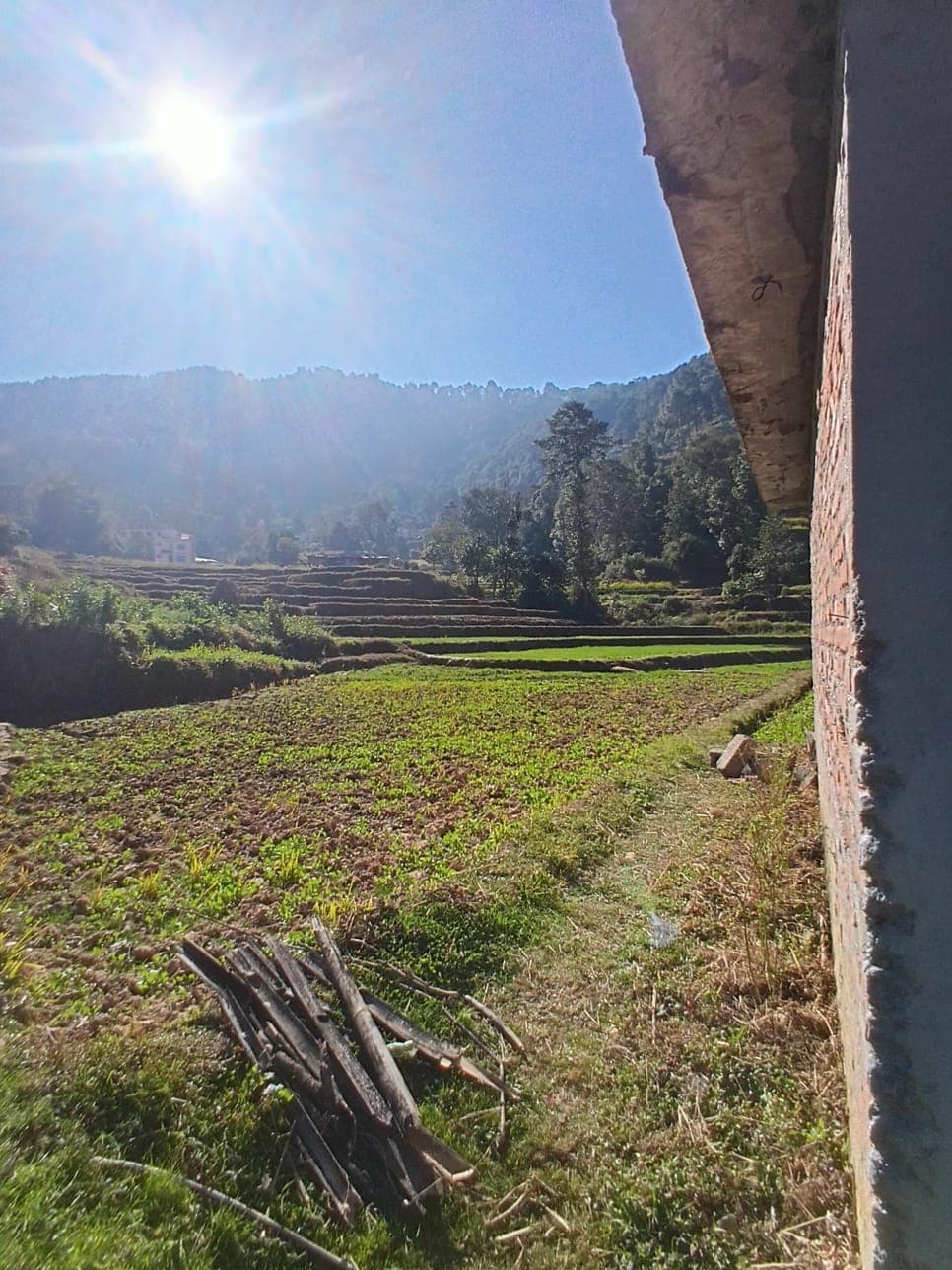 The right place for Nature lovers. — photo