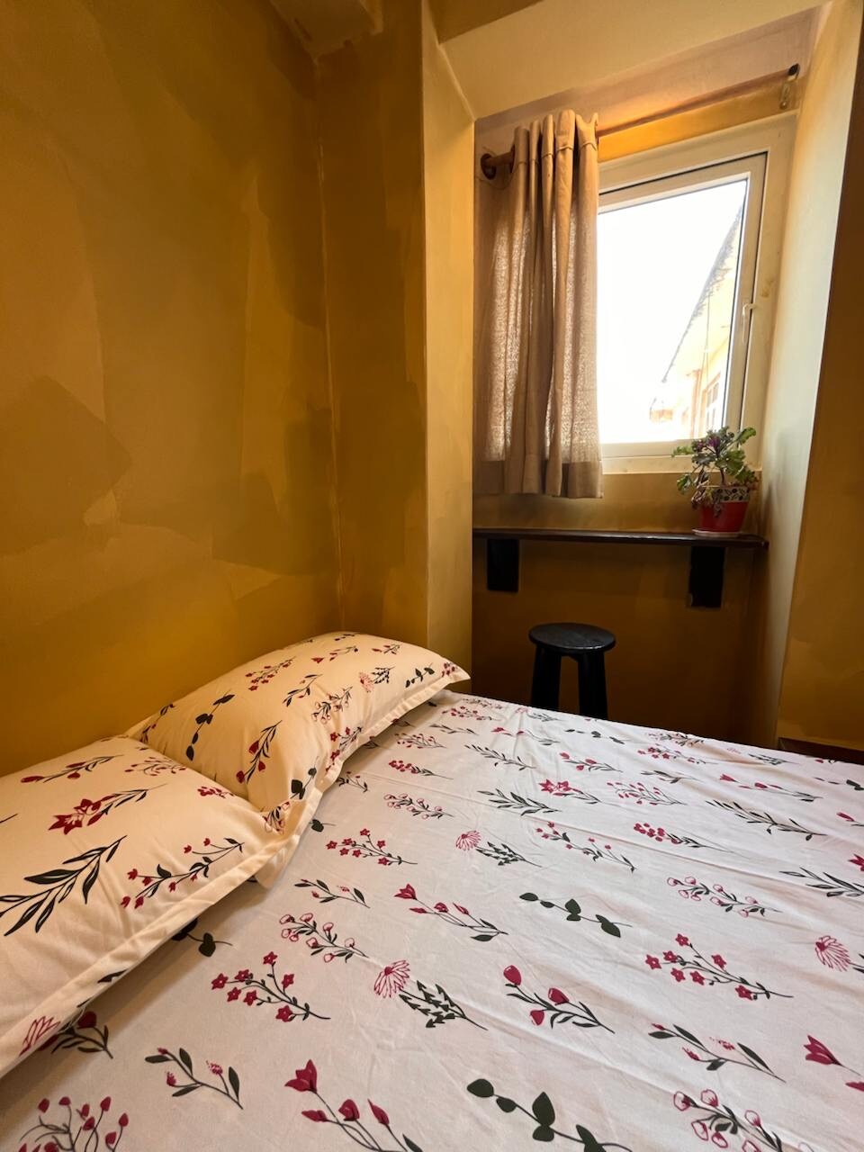 Flowers on the Wall by Boudha Stupa