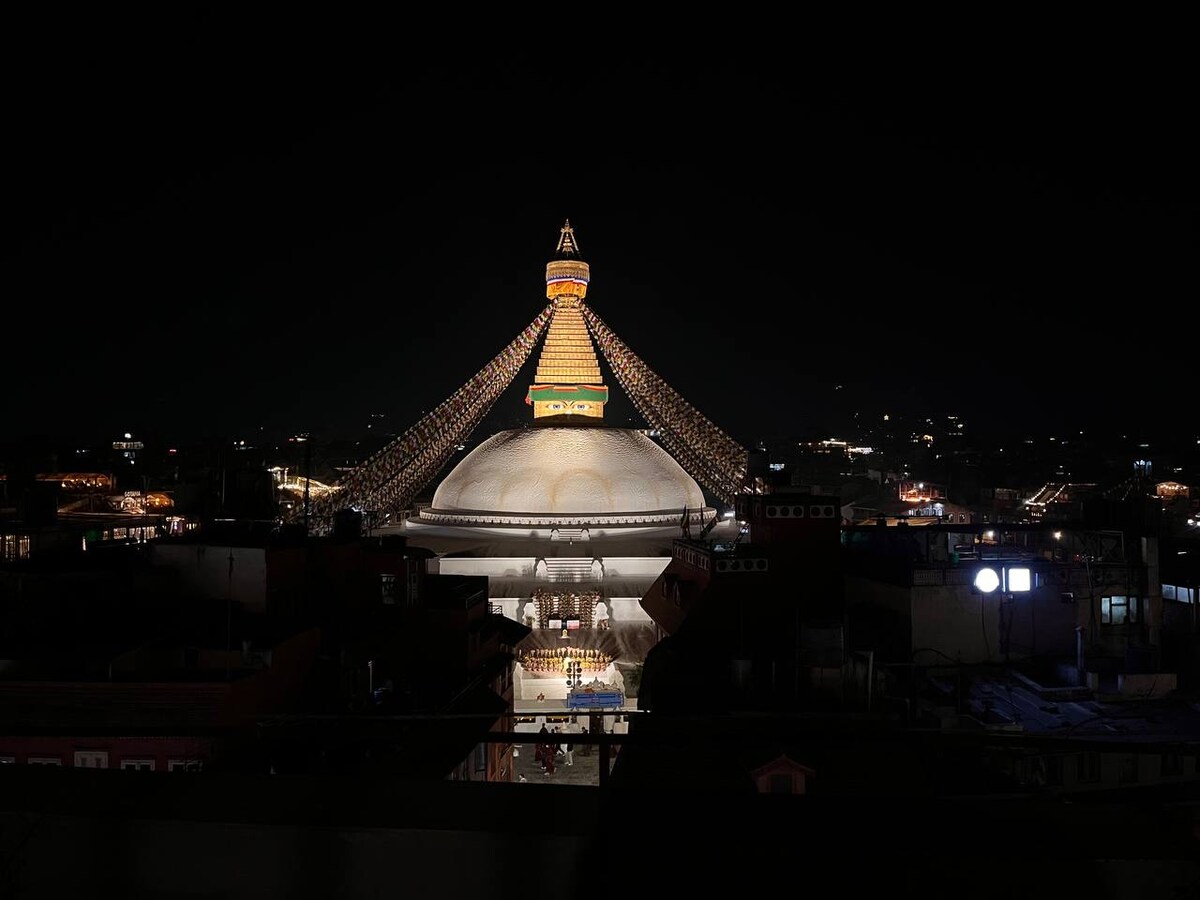 Flowers on the Wall by Boudha Stupa — photo