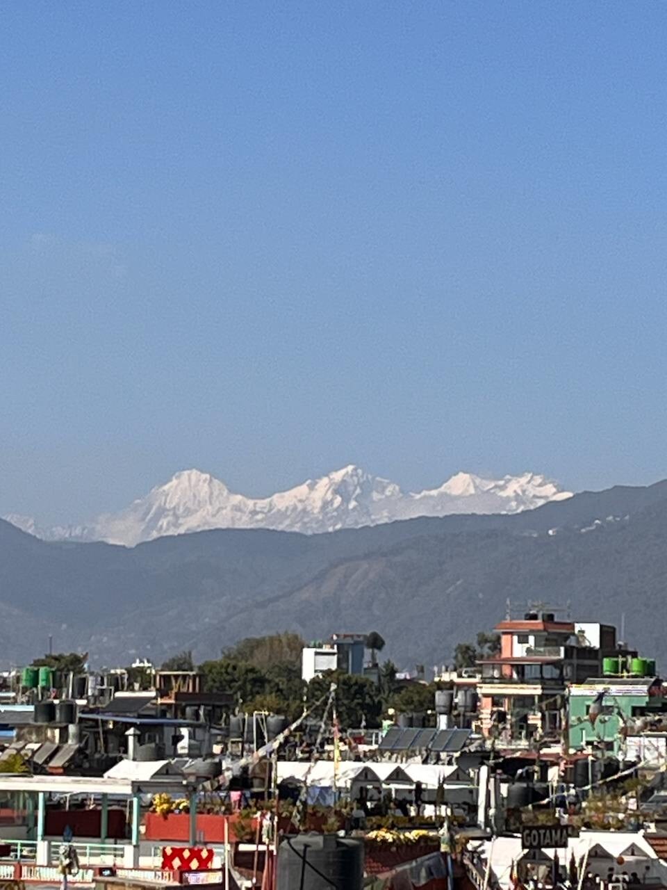 Flowers on the Wall by Boudha Stupa — photo