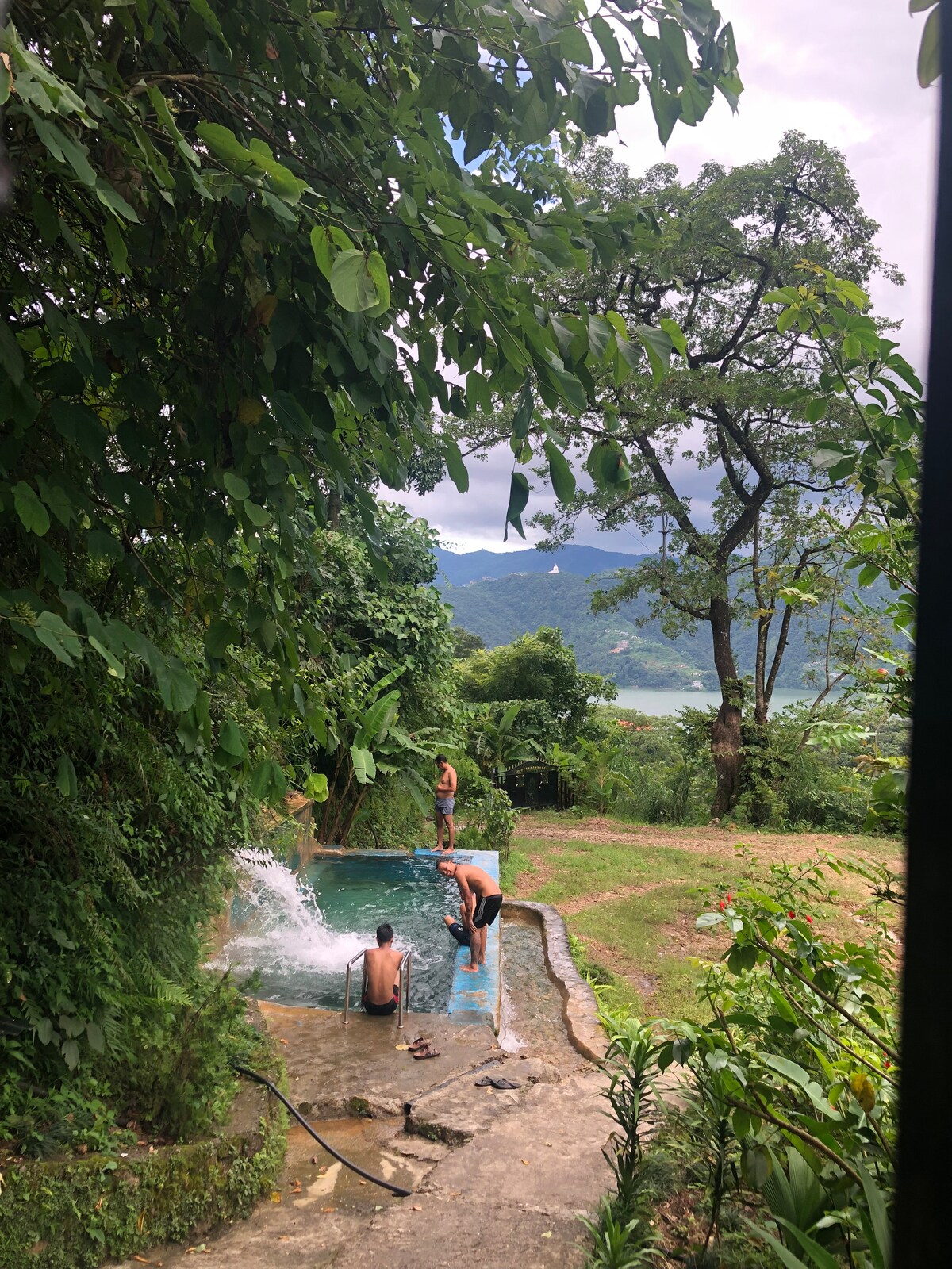 Forest Cabin — photo