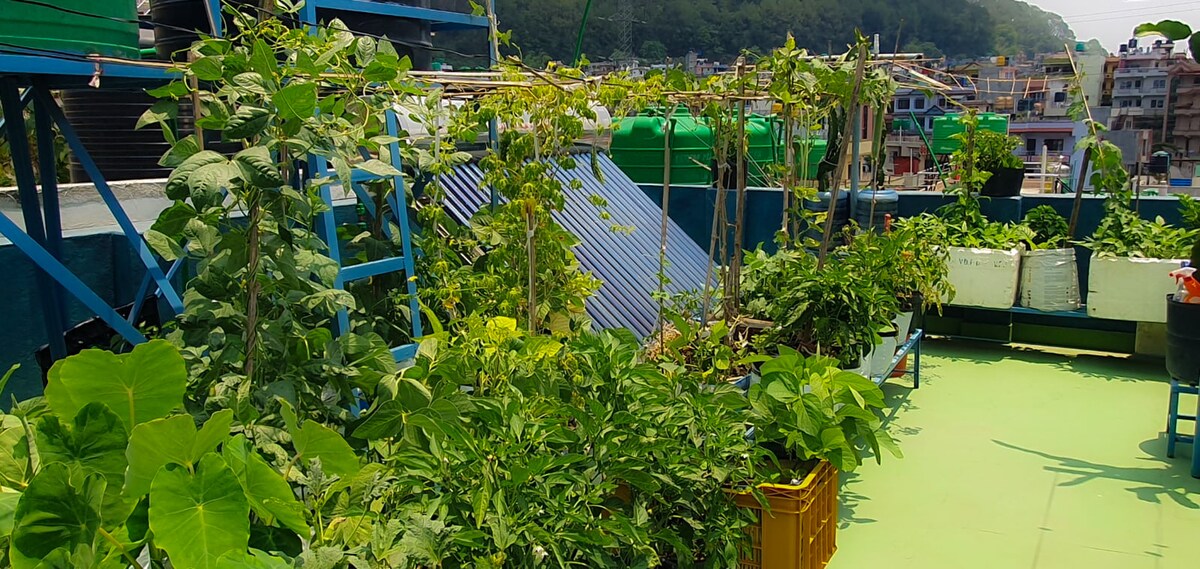 Bhim's Paradise Homestay — photo