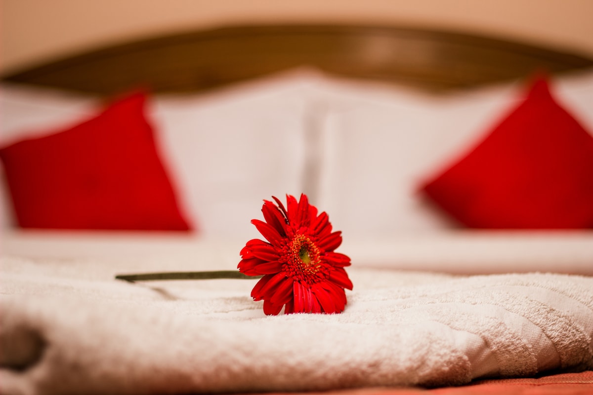 Hotel Kamal — photo