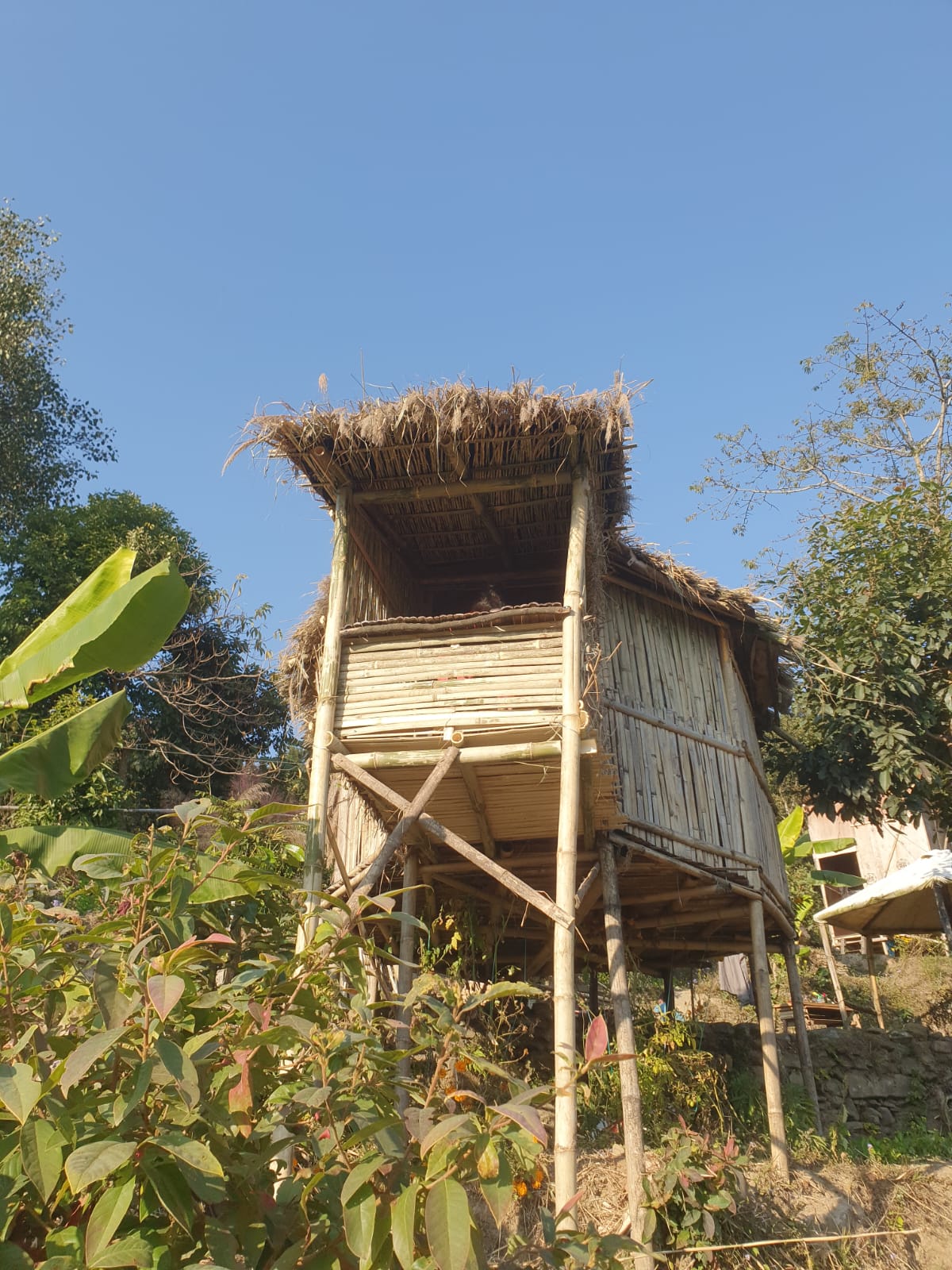 The Nest in Pokhara, Nepal — photo