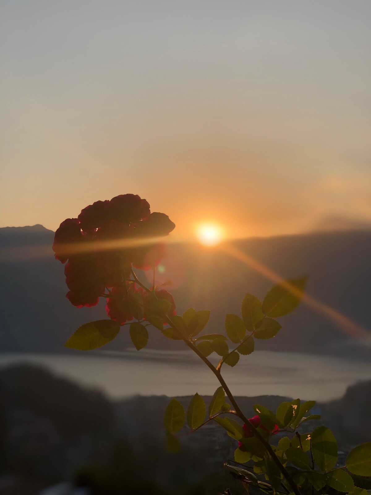 Cabin With Lakeview at Into The Wild Pokhara — photo