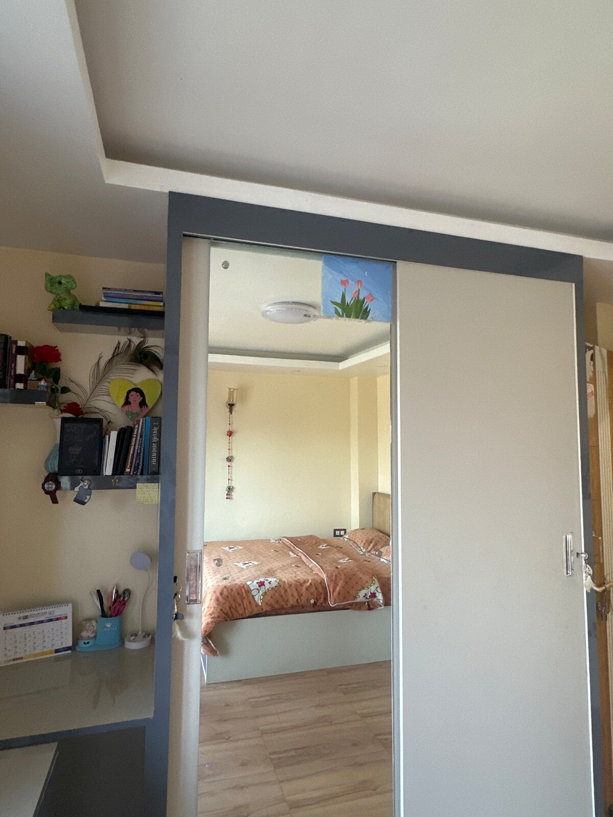 My home, your home — photo