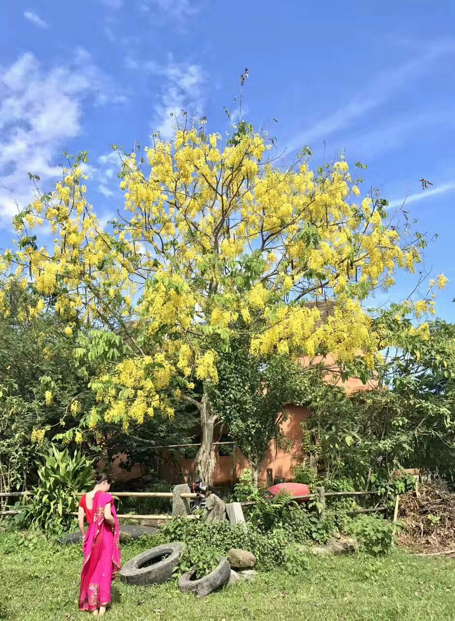 Pokhara lake view garden loft cottage A — photo