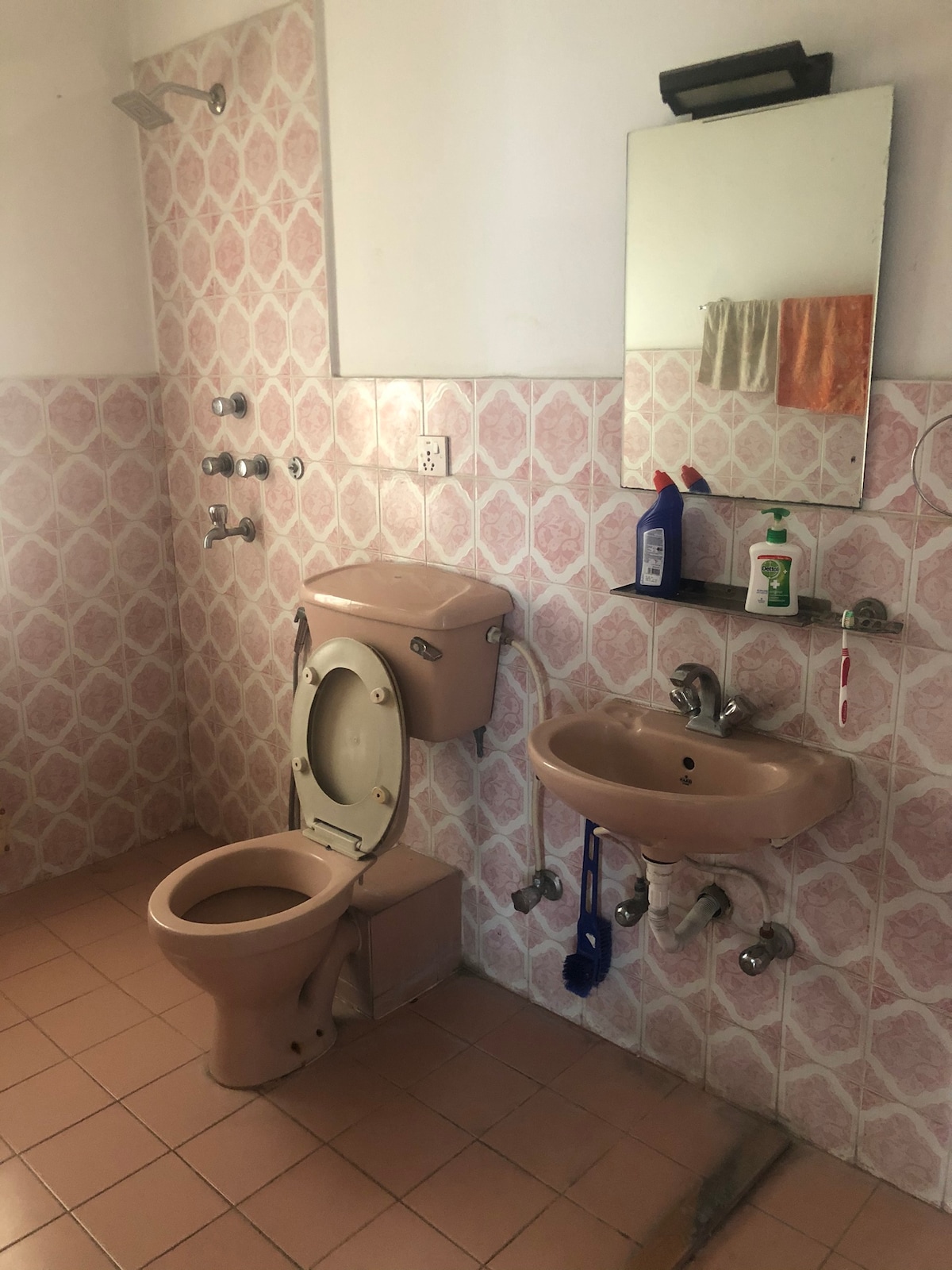 Gazing spot. — photo