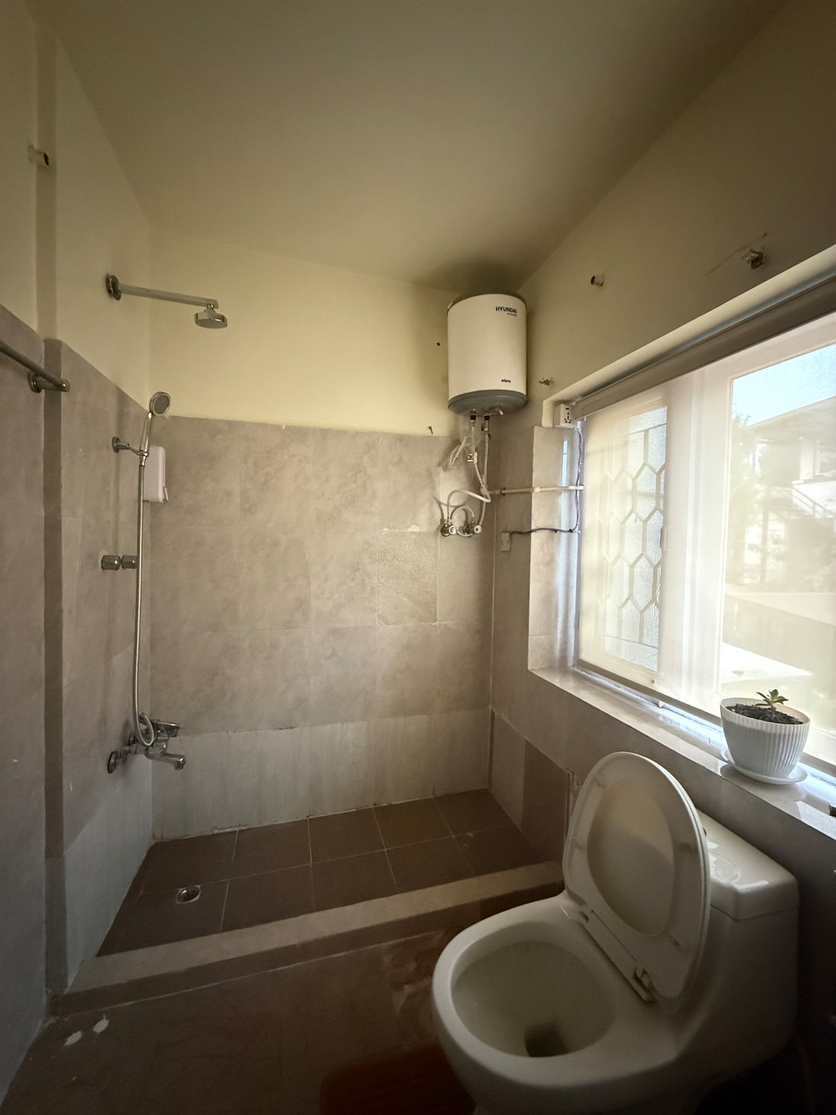 royal palace (fountain) — photo