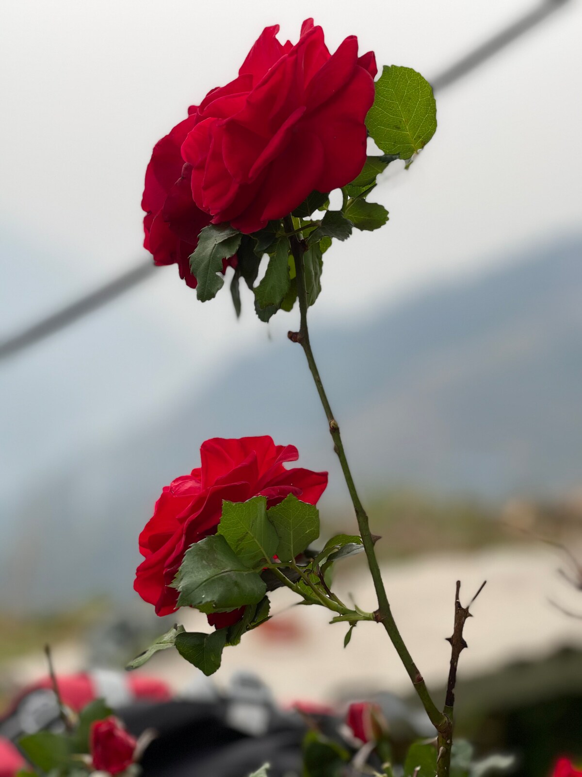 Hut 2 -Authentic village stay — photo