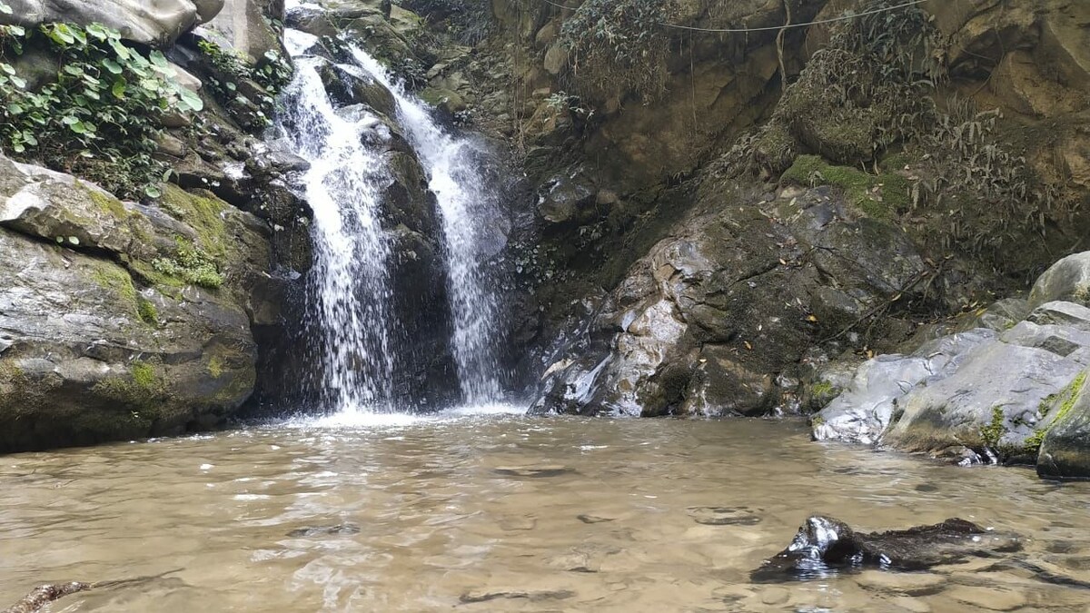 Private spacious treehouse in Nagarkot — photo