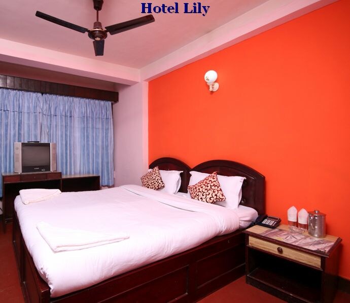 Hotel Lily — photo