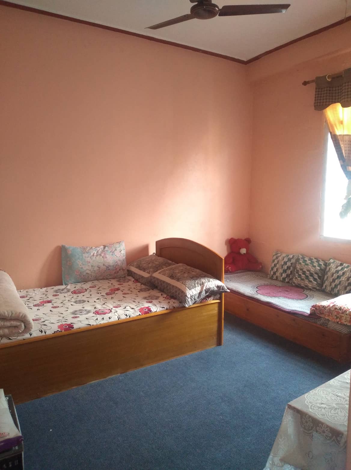 Cheerful 3 Bedroom home in peaceful environment — photo