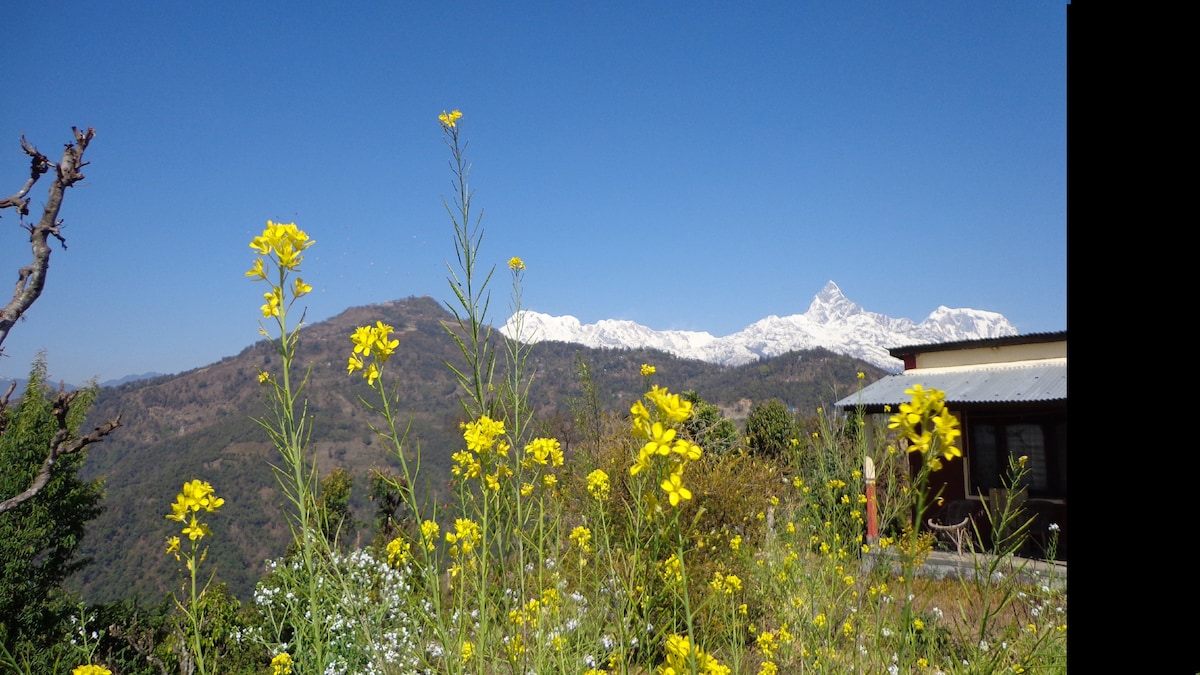 nature home methlang — photo