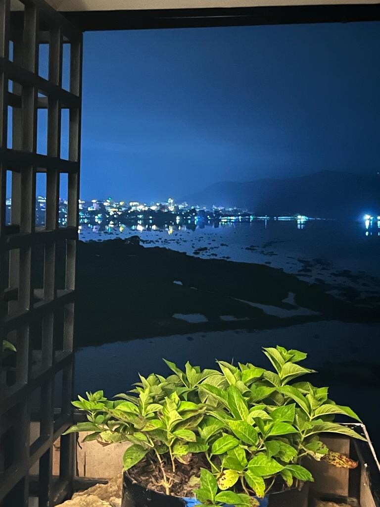 Lake View Room (EARTH) — photo