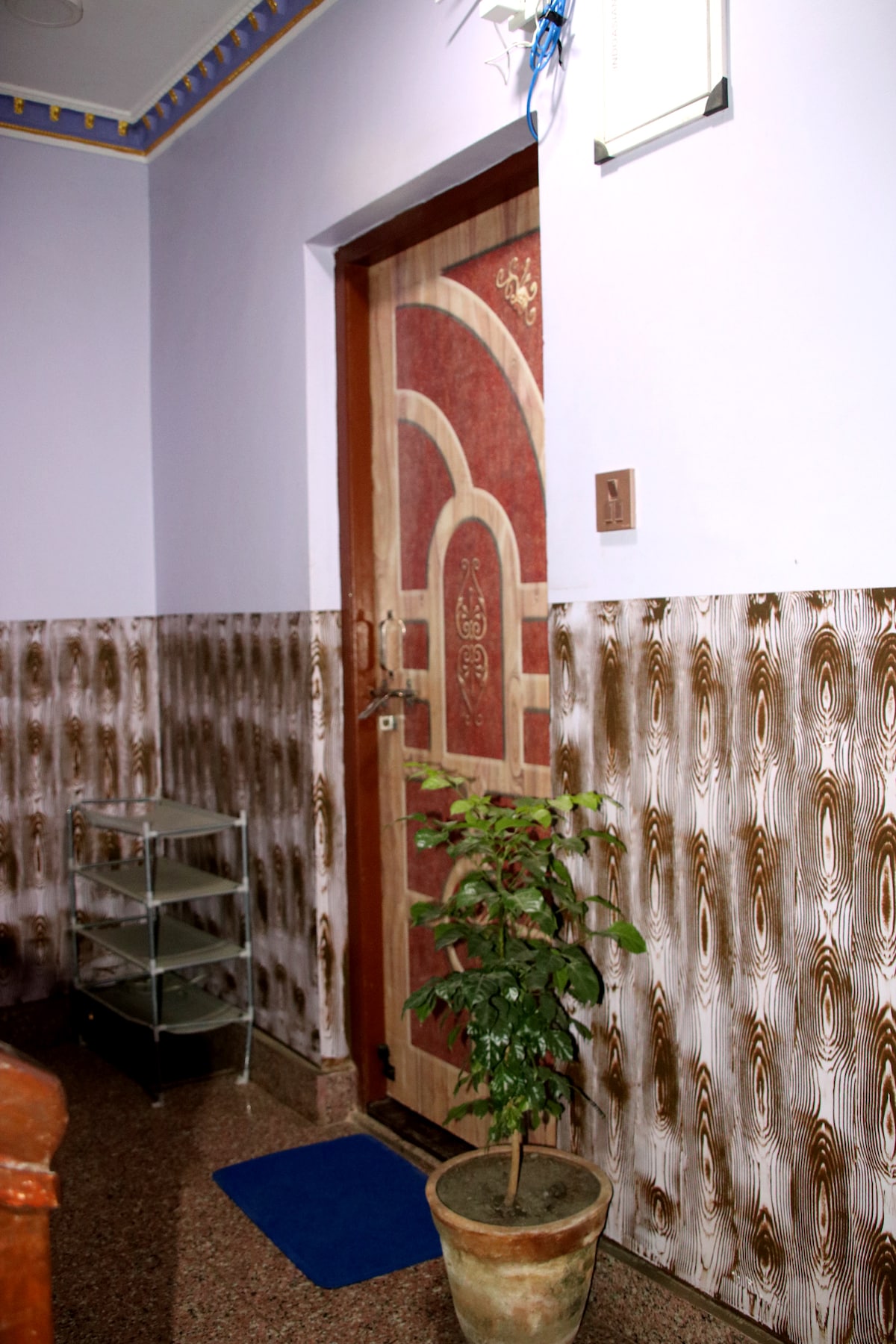 SNP House near forest, fresh Air — photo