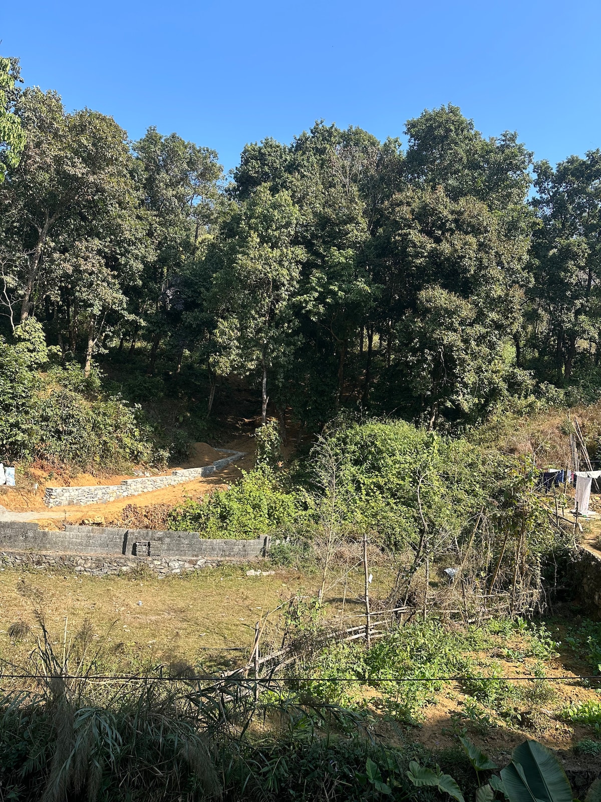 Big room with double windows. Room no 202. — photo