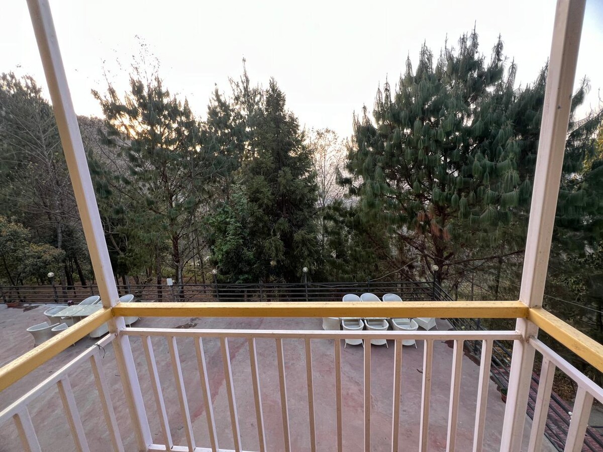 The Lapsi Tree Family Room — photo