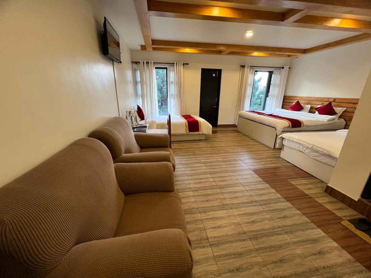 The Lapsi Tree Family Room — photo