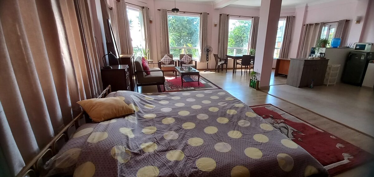 Sunny studio basement apartment with garden/ patio — photo