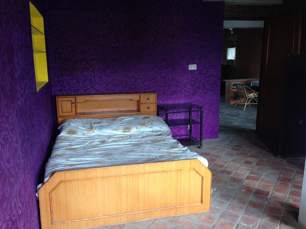 Cosy, central apartment - a homestay with privacy — photo