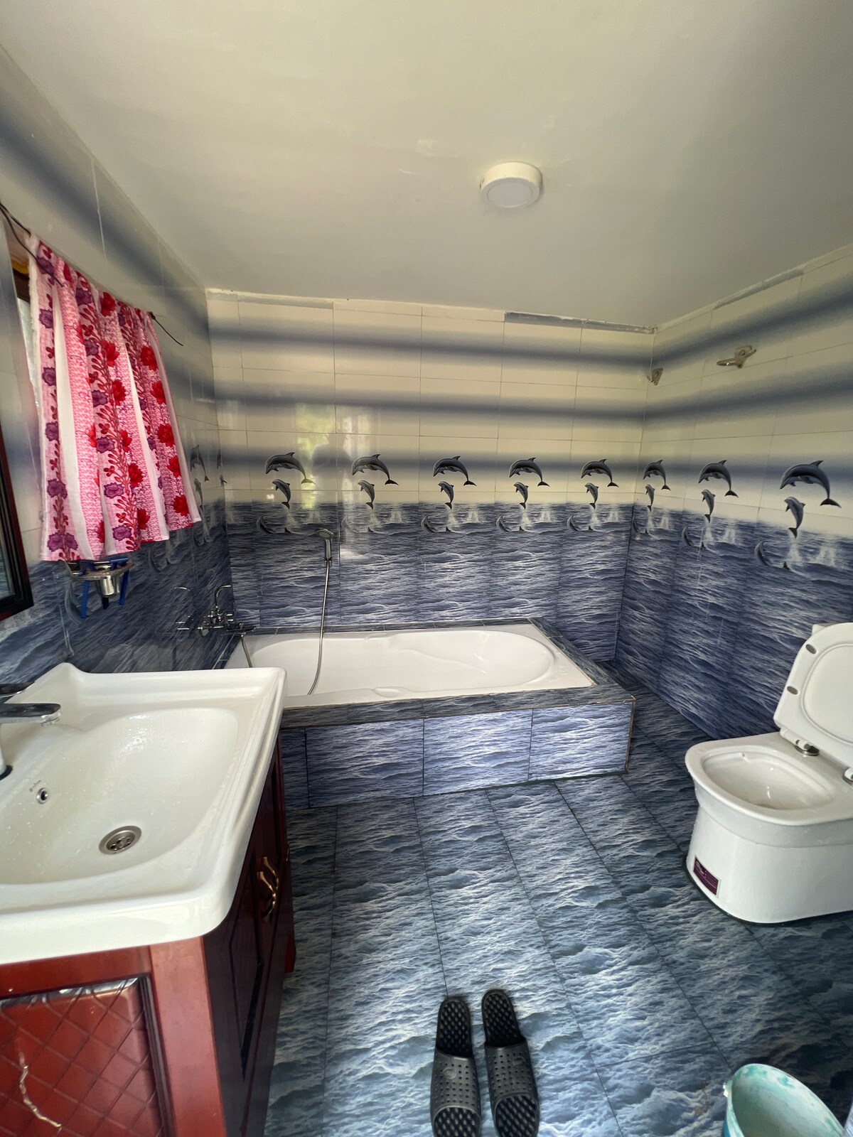 Welcome home — photo