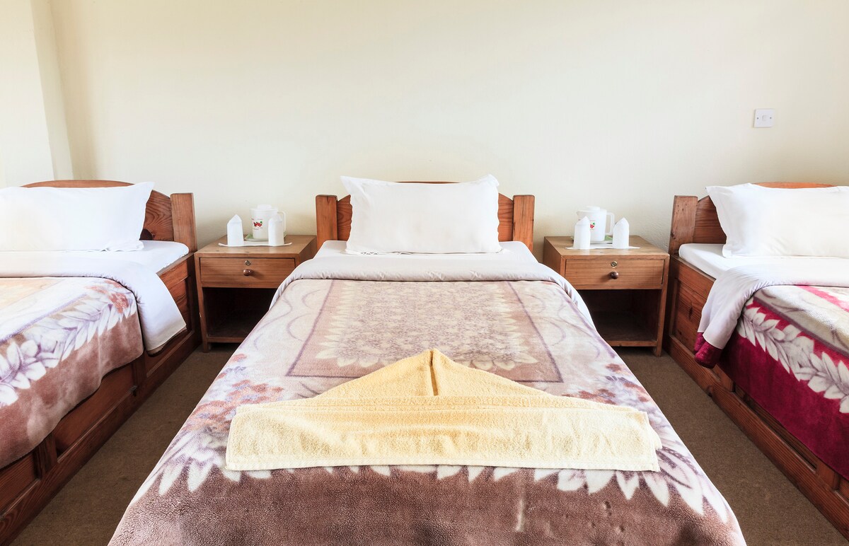 Triple Bed (3 single bed) Room — photo