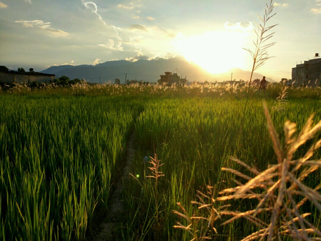 Kathmandu valley view room private single - double — photo