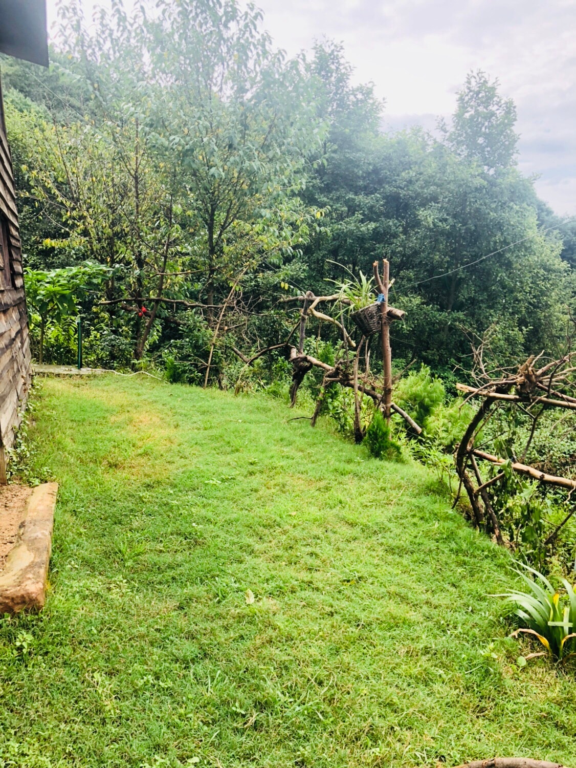 Mystery@Nagarkot — photo