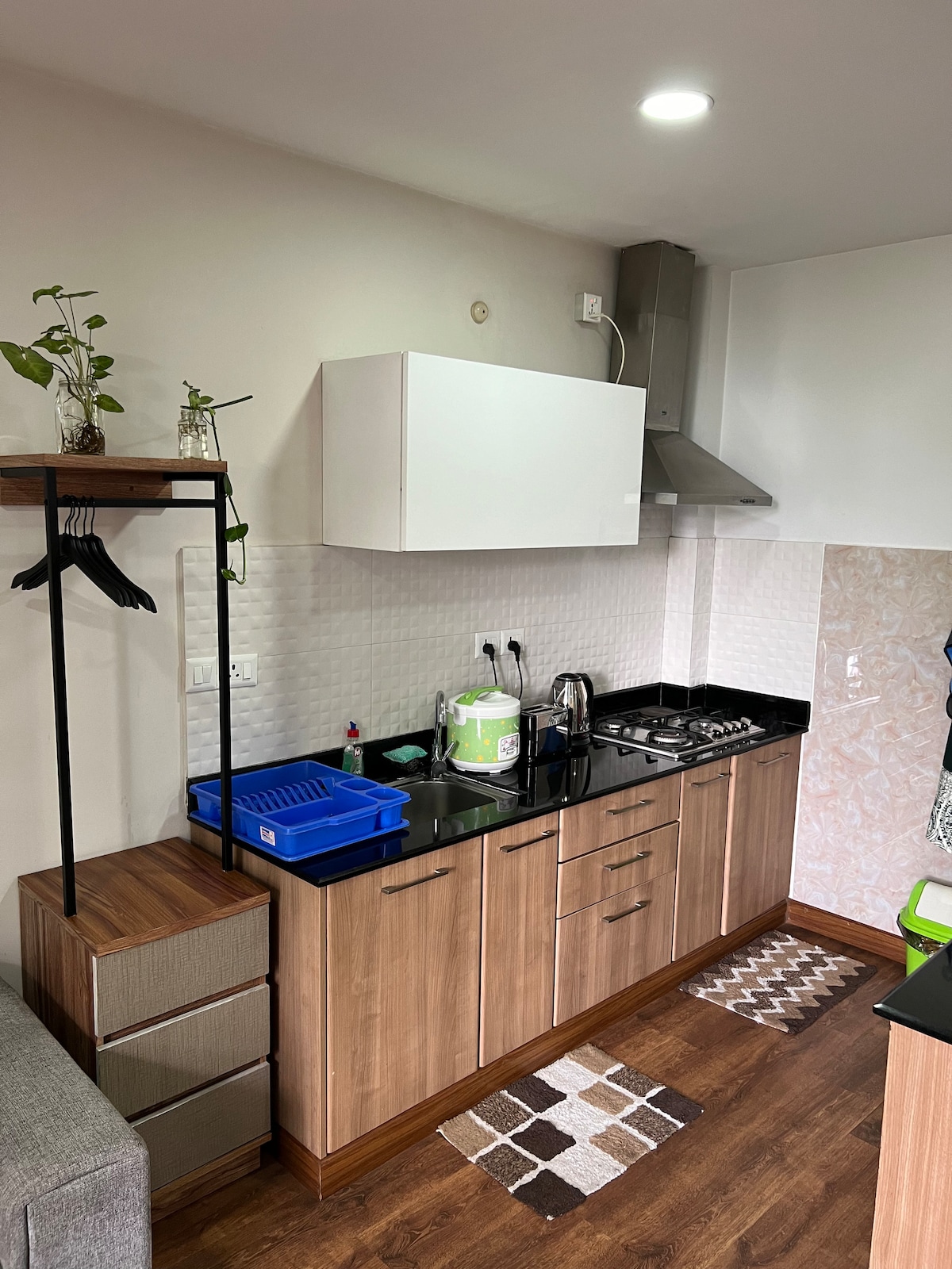 Pundarika 201 — photo