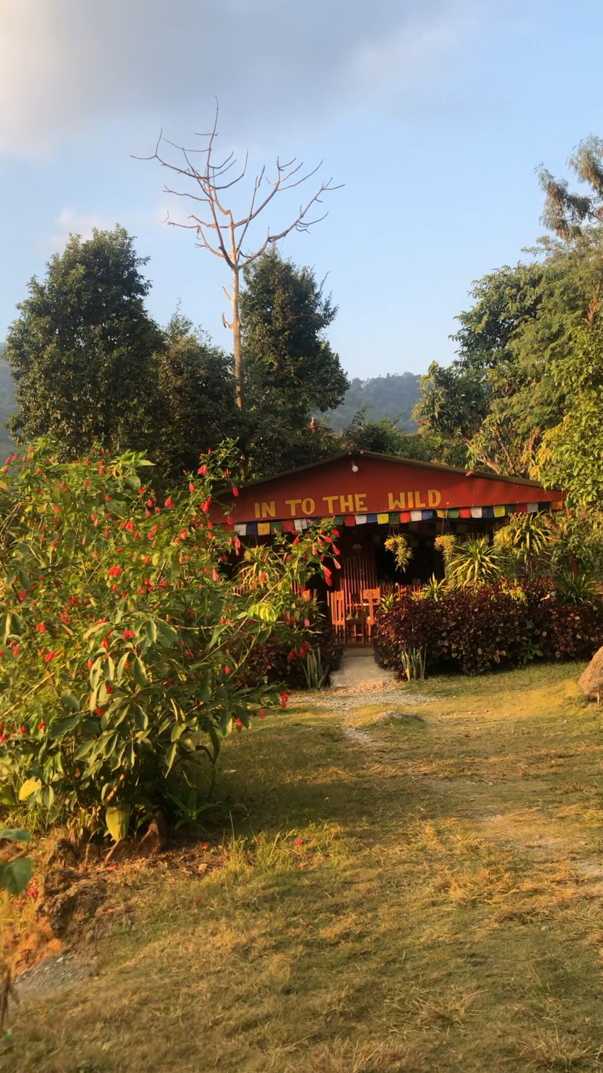 Cabin in the Woods at Into The Wild Pokhara