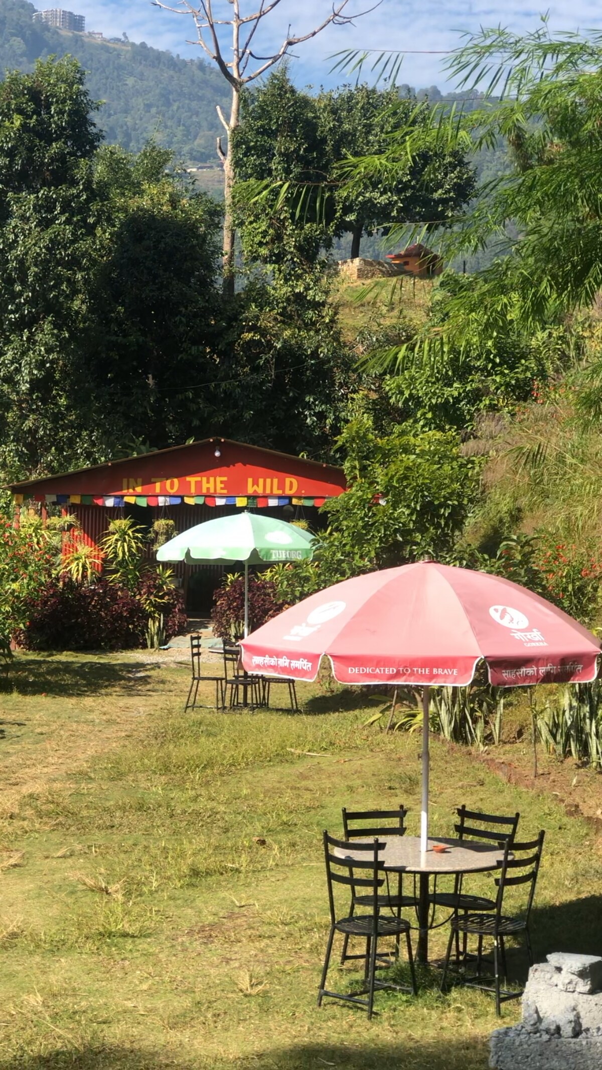 Cabin in the Woods at Into The Wild Pokhara — photo