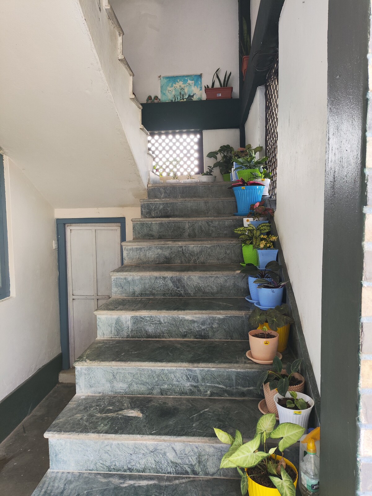 Sosa's Home
East — photo