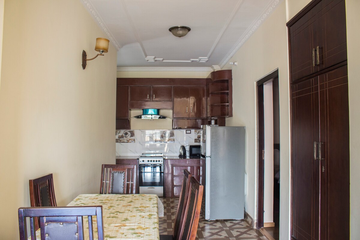 Lazimpat Apartment- Elegant! Affordable! 2bhk — photo