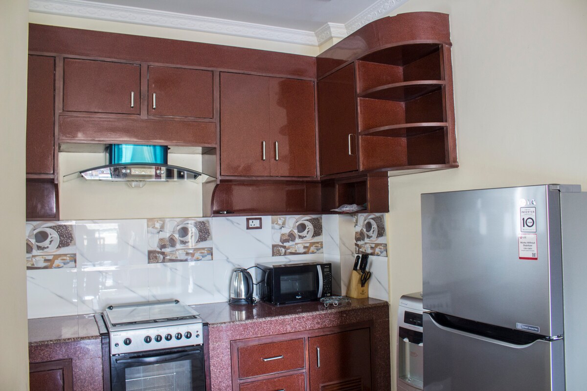 Lazimpat Apartment- Elegant! Affordable! 2bhk — photo