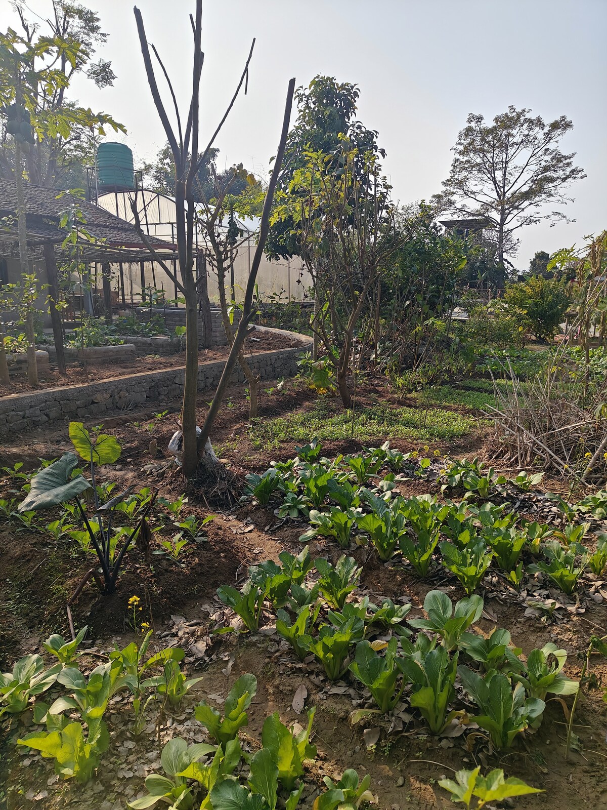 Inspiring Sustainable Living — photo