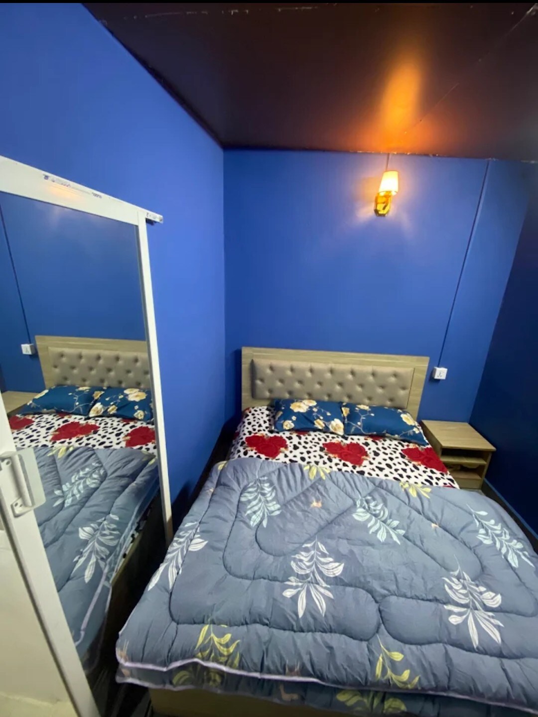 hype stays - jungle view — photo