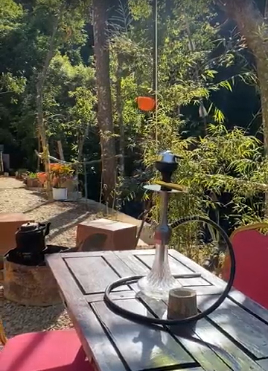 hype stays - jungle view — photo