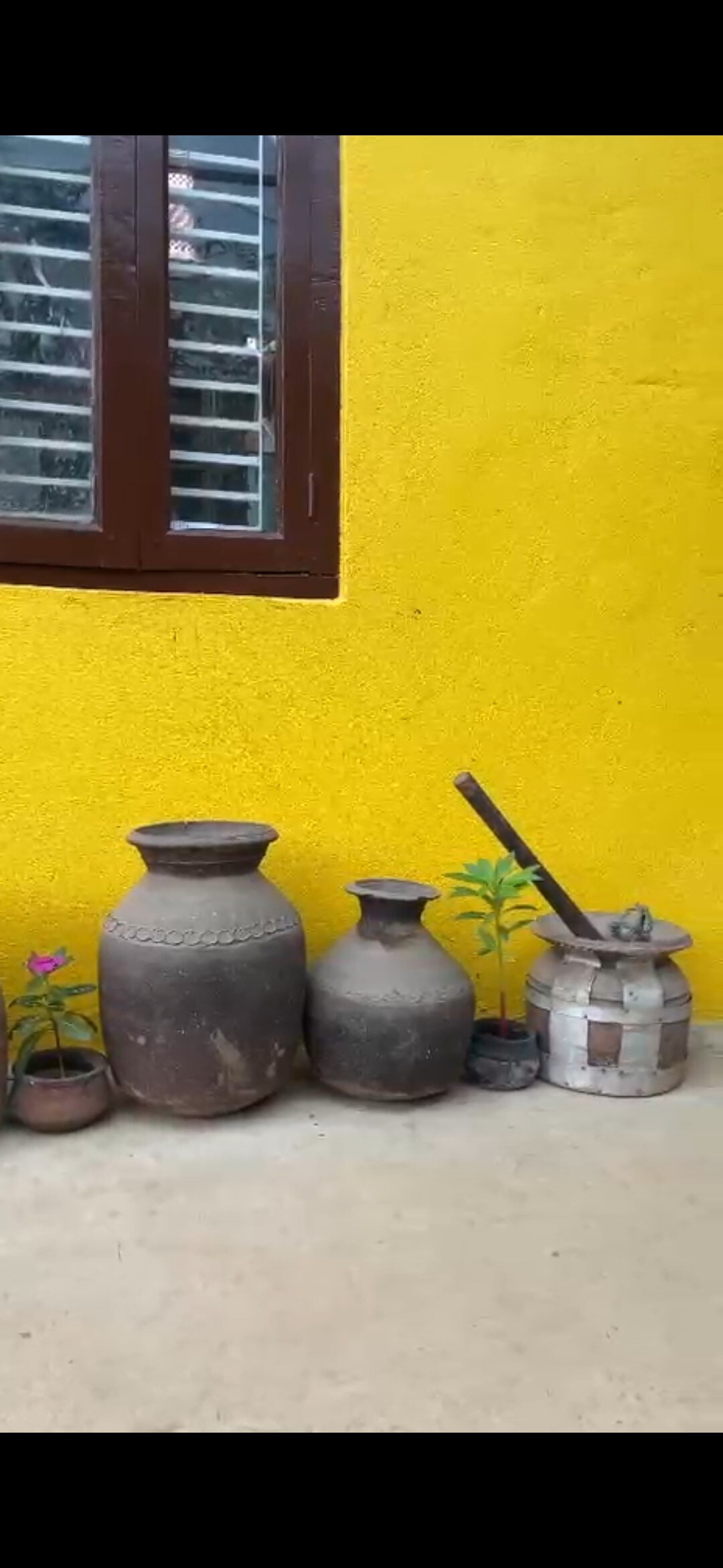 hype stays - jungle view — photo