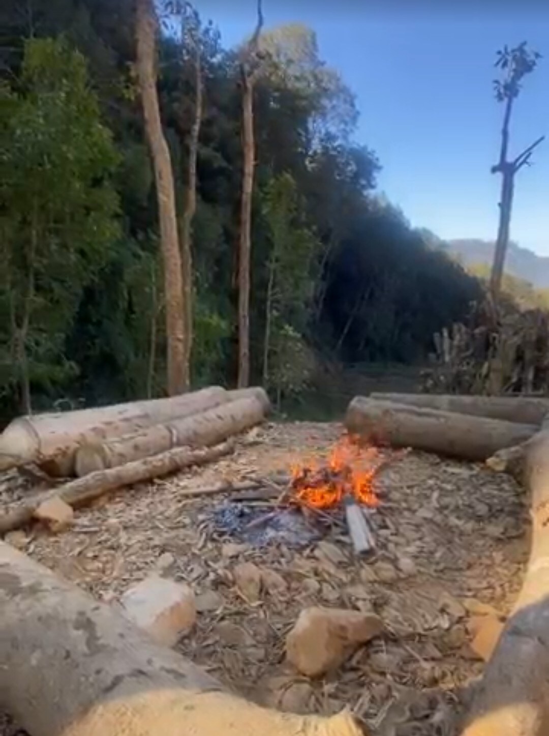 hype stays - jungle view — photo