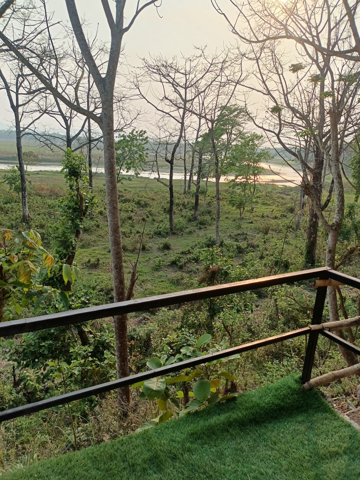 Sleep with Deer & River Views | Jungle Nirvana — photo