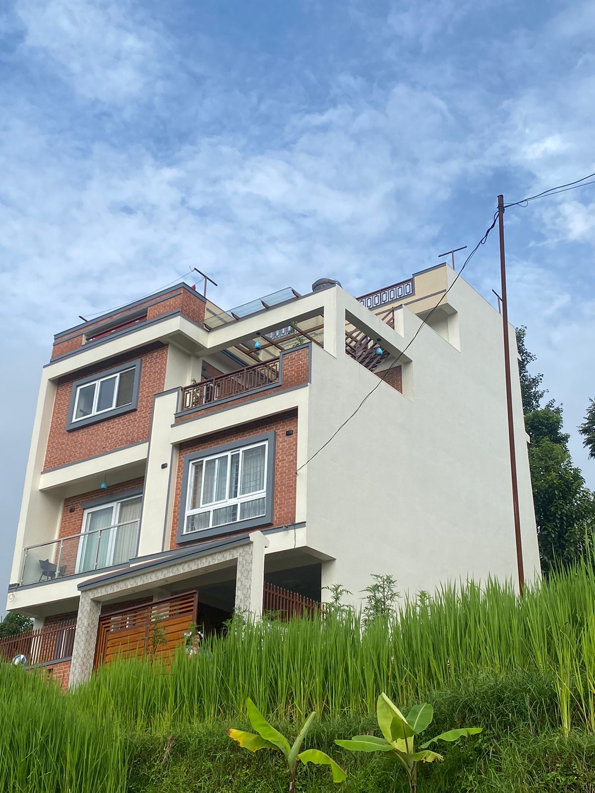 Niro Suite Home — photo