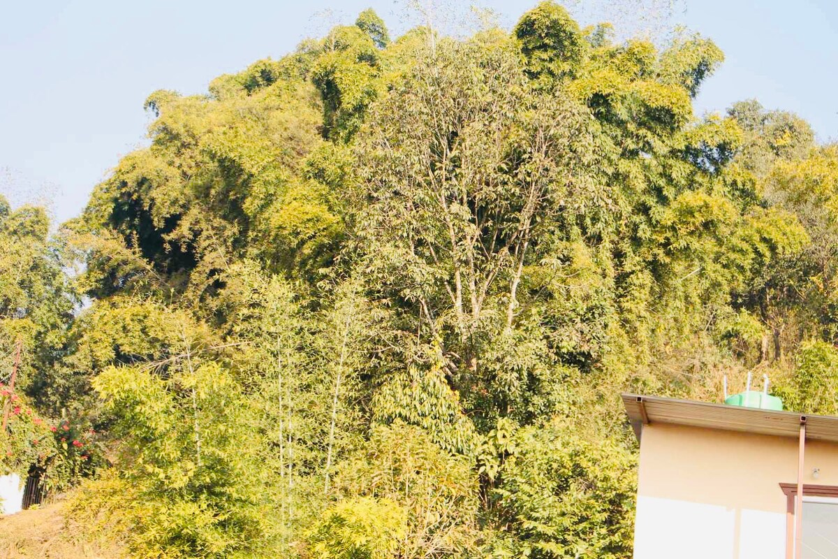 Cute studio room — photo