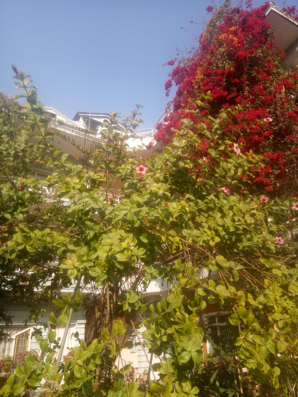 Double Bed (twin bed) Room. — photo