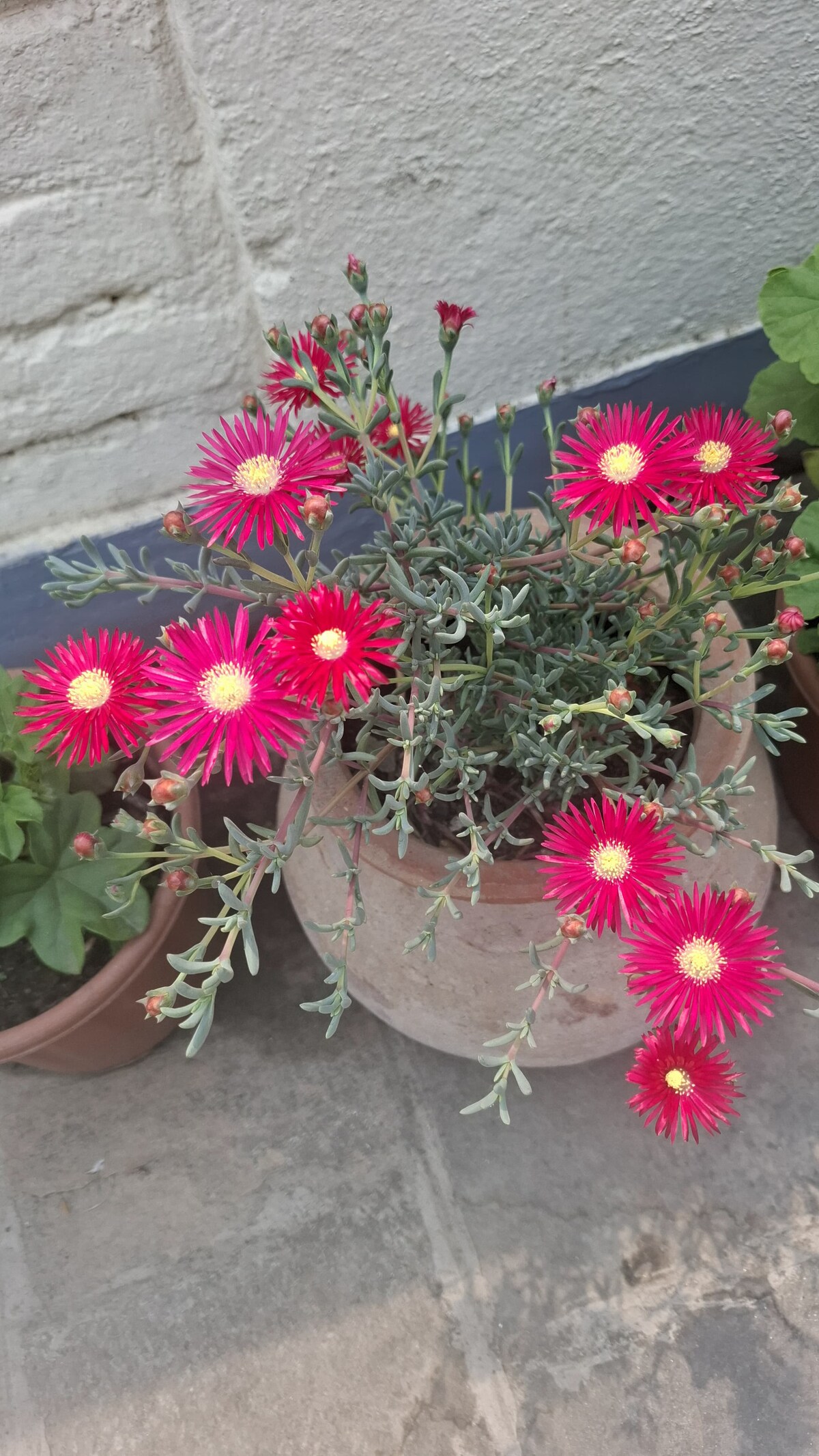 A restful Eagels Nest, stay and explore Kathmandu — photo